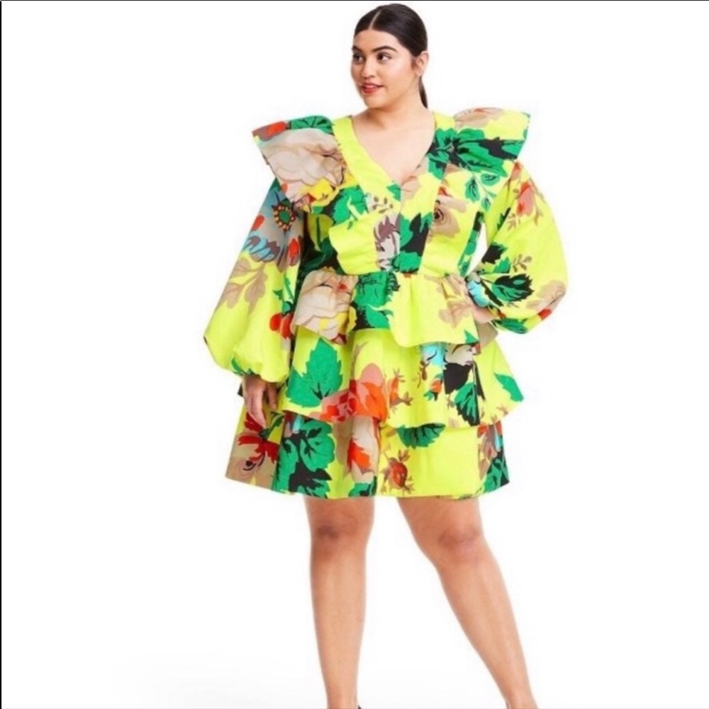 BRAND NEW Christopher John Rogers dress.